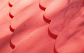 Steep Marsh plastic roof costs