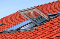 Steep Marsh roof window